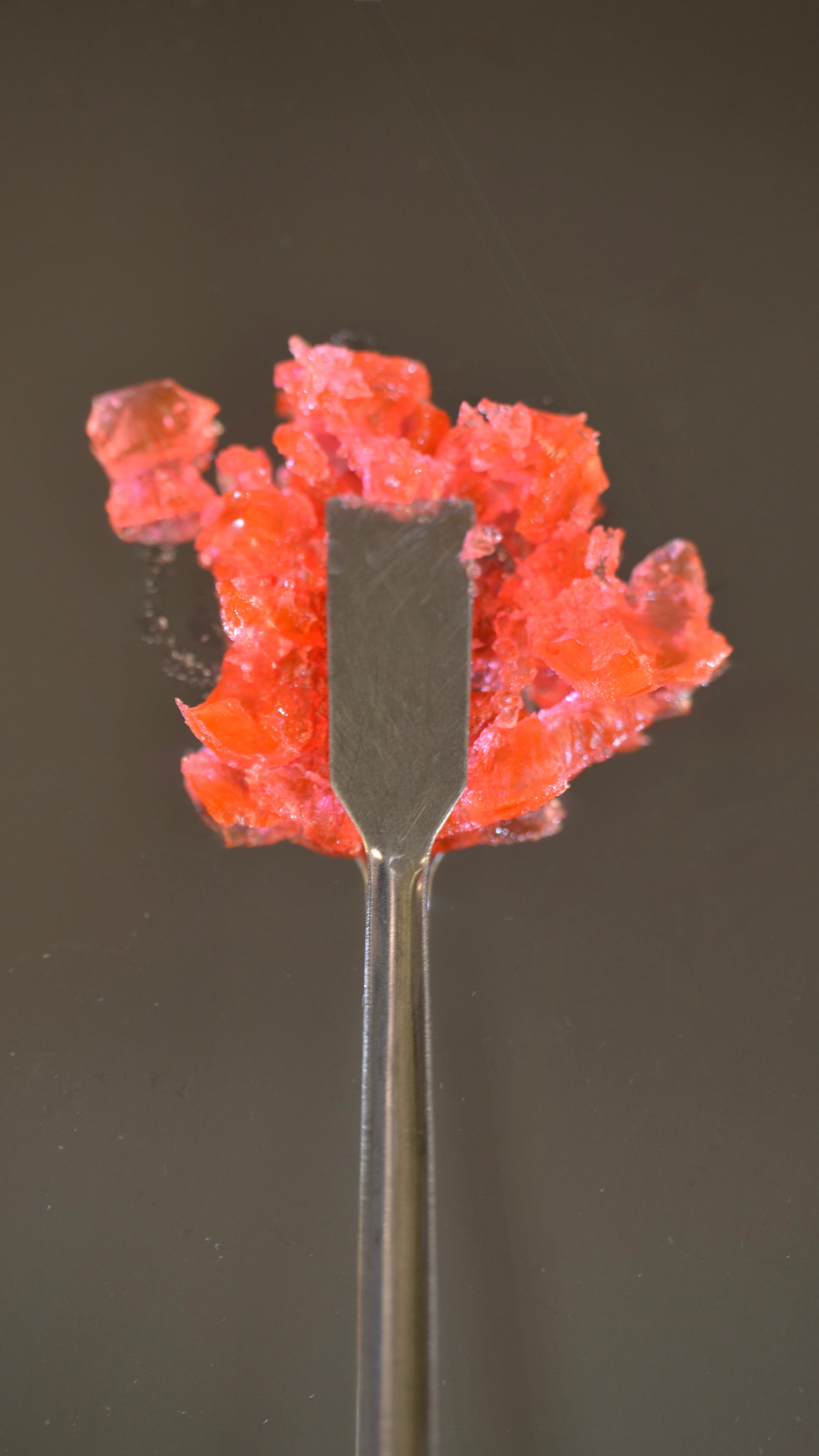 Elastic Tint Jelly Blush with Spatula formula swatch